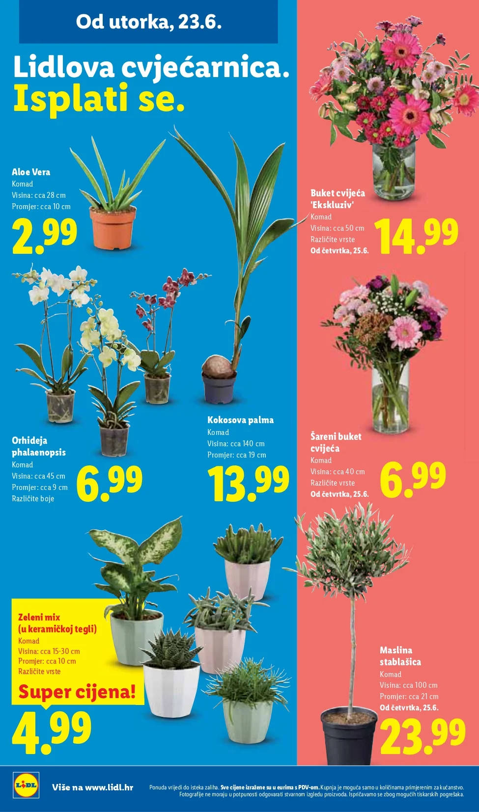 Lidl katalog HRVATSKA 23-28.6.2026. - str. 50