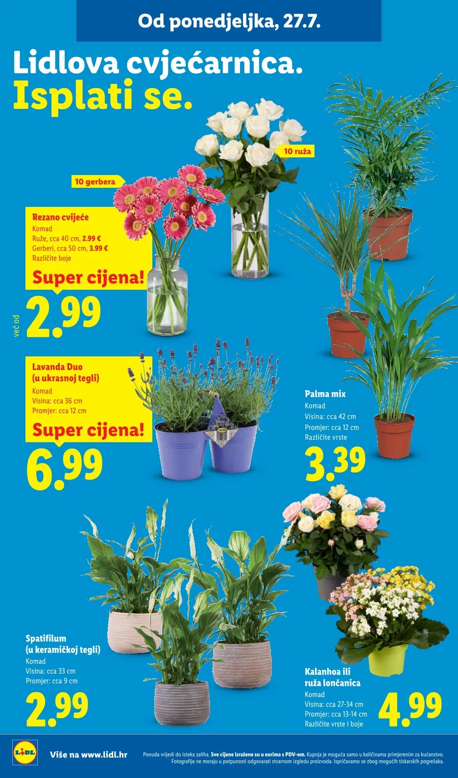 Lidl katalog HRVATSKA 27.7-2.8.2026. - str. 50
