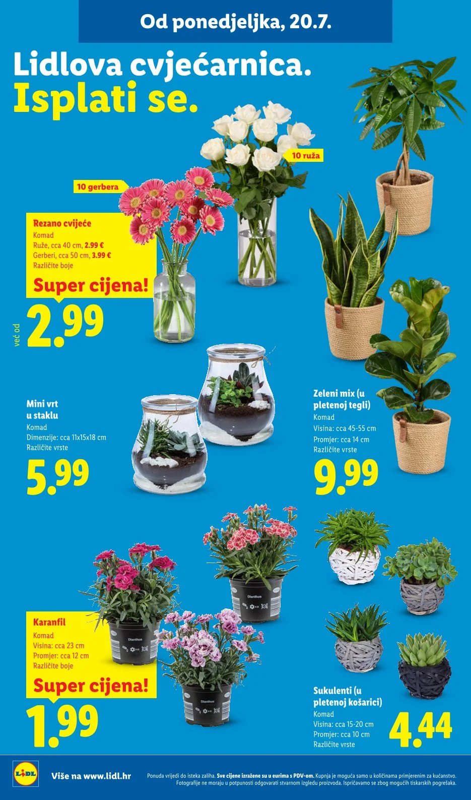 Lidl katalog HRVATSKA 20-26.7.2026. - str. 50