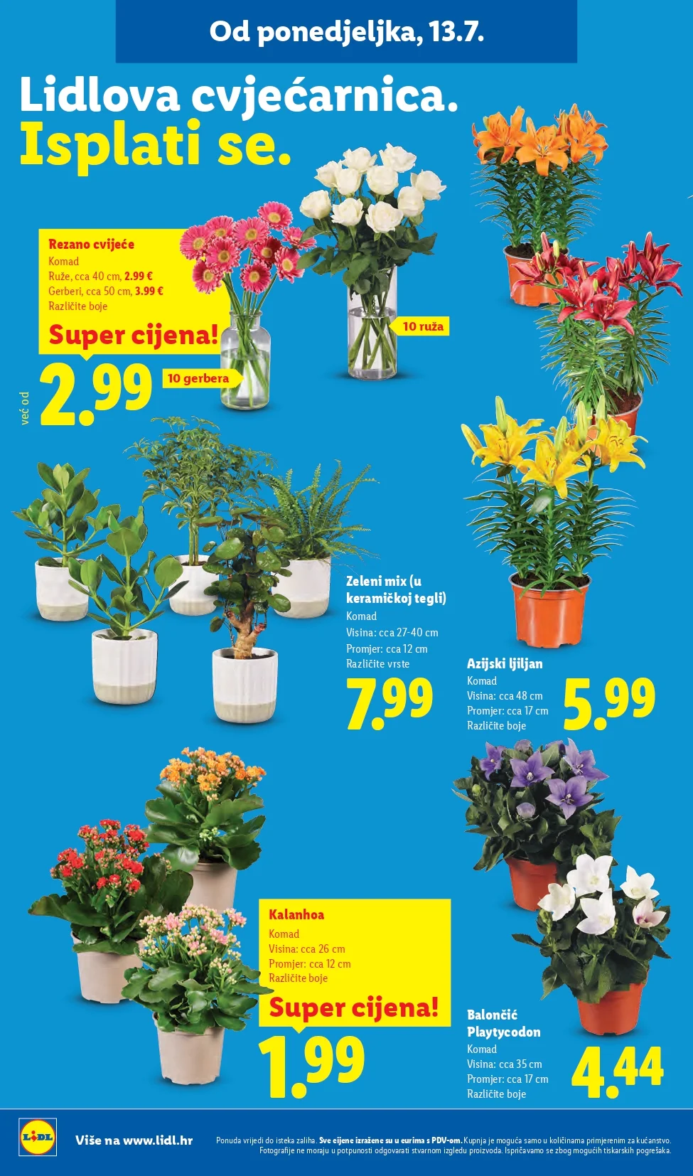 Lidl katalog HRVATSKA 13-19.7.2026. - str. 50