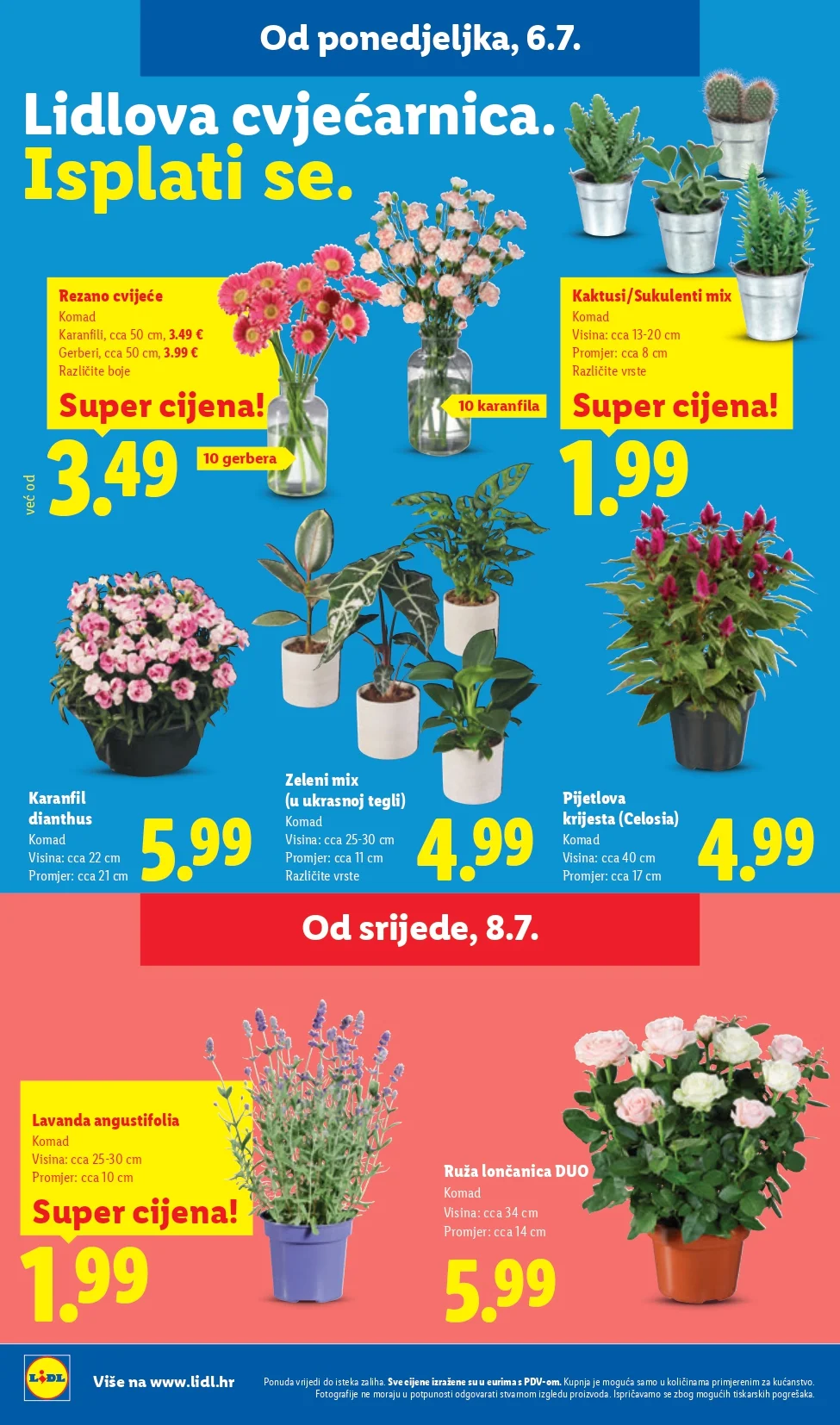 Lidl katalog HRVATSKA 6-12.7.2026. - str. 56