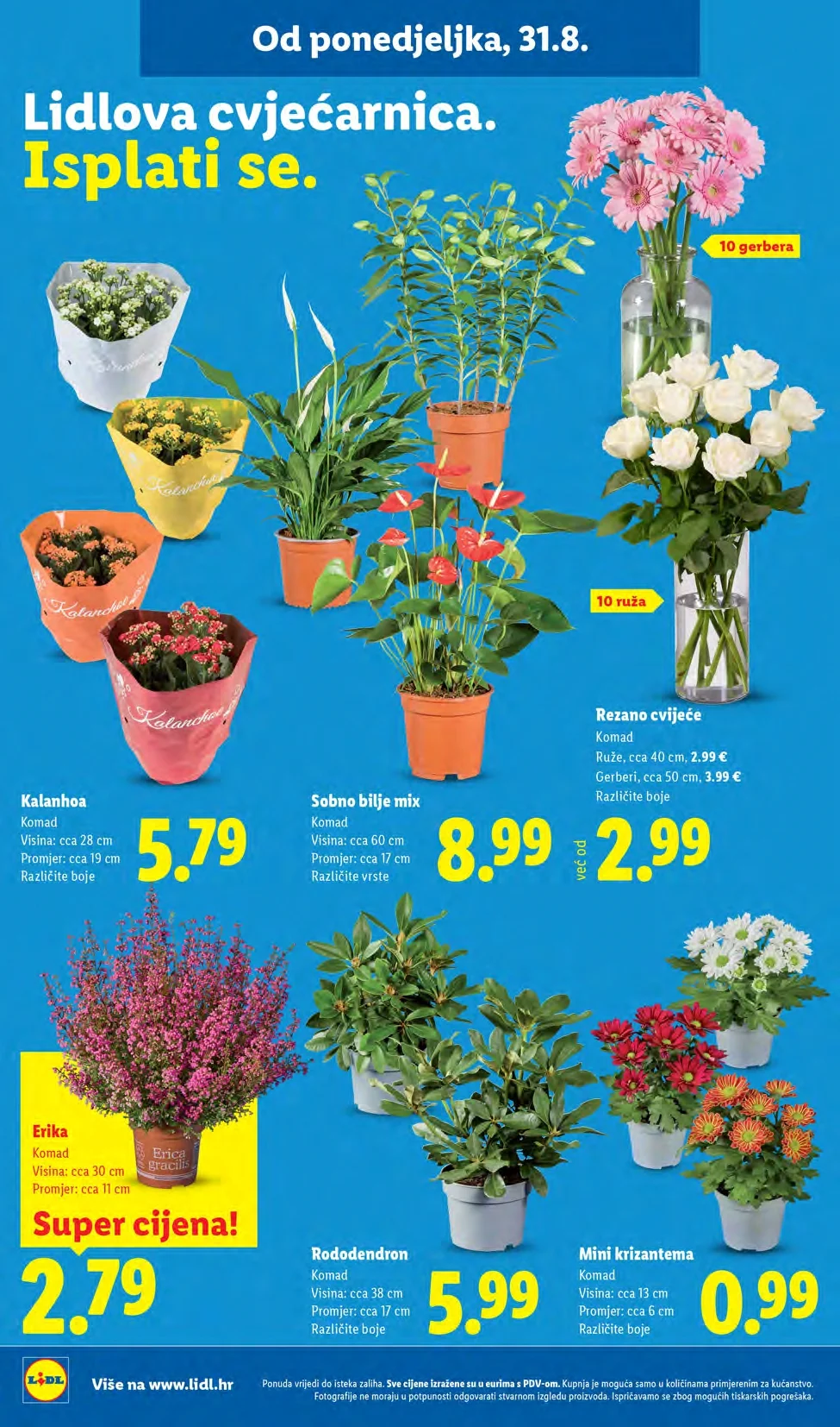 Lidl katalog HRVATSKA 31.8-6.9.2026. - str. 46