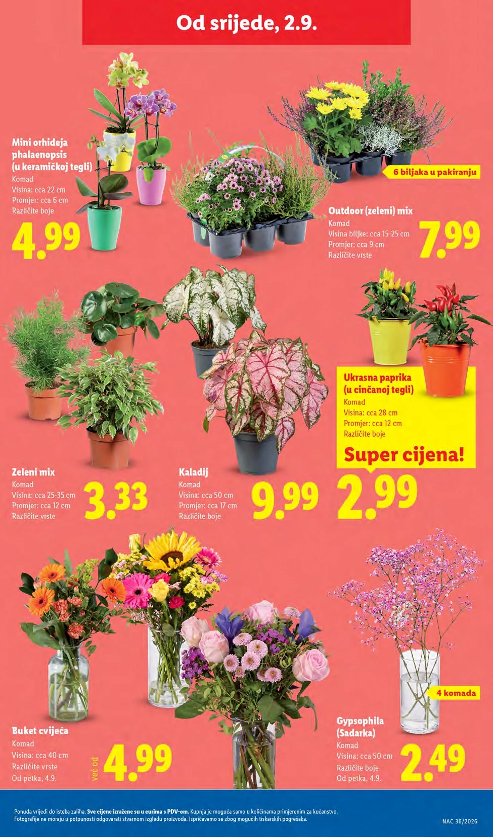Lidl katalog HRVATSKA 31.8-6.9.2026. - str. 47