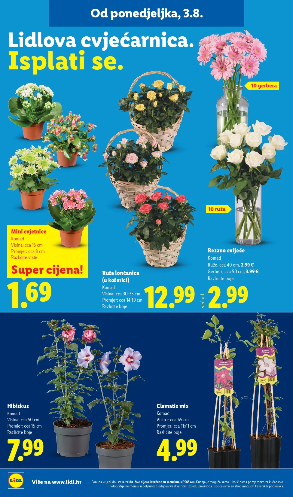 Lidl katalog HRVATSKA 3-9.8.2026. - str. 50