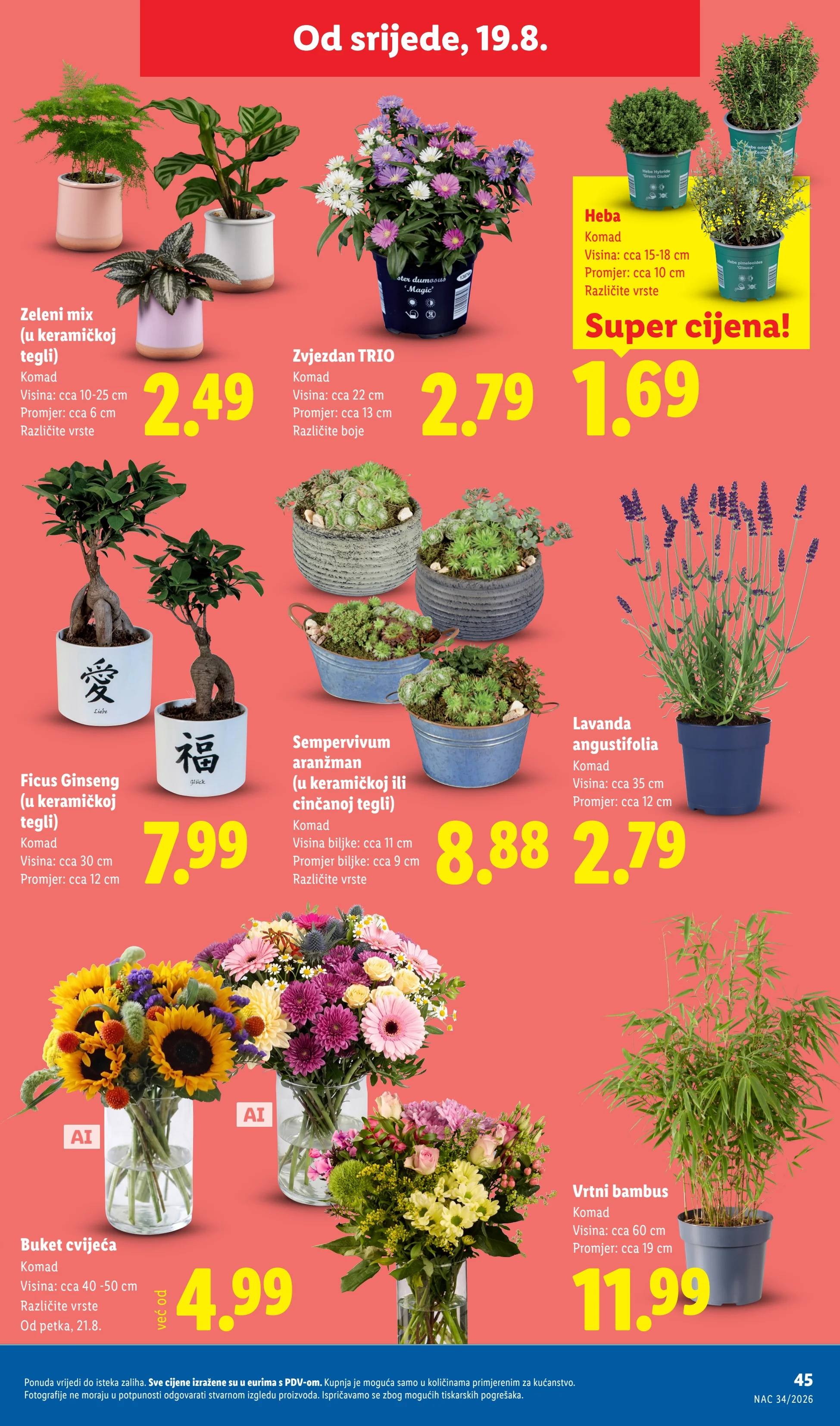 Lidl katalog HRVATSKA 17-23.8.2026. - str. 45