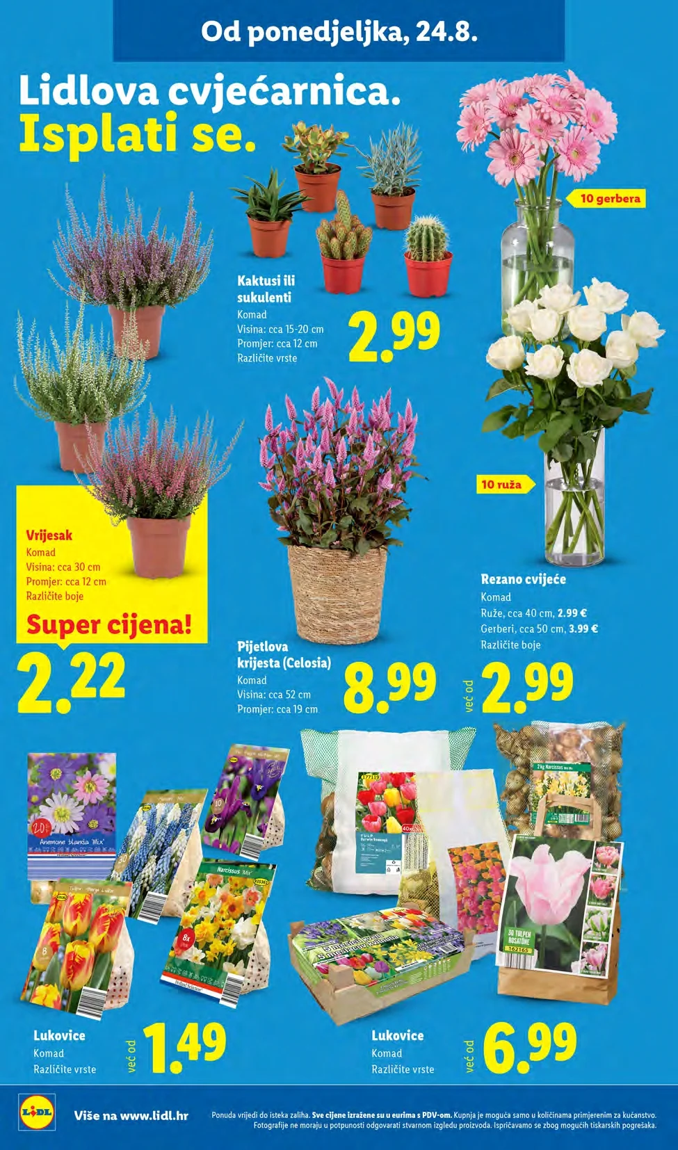 Lidl katalog HRVATSKA 24-30.8.2026. - str. 46