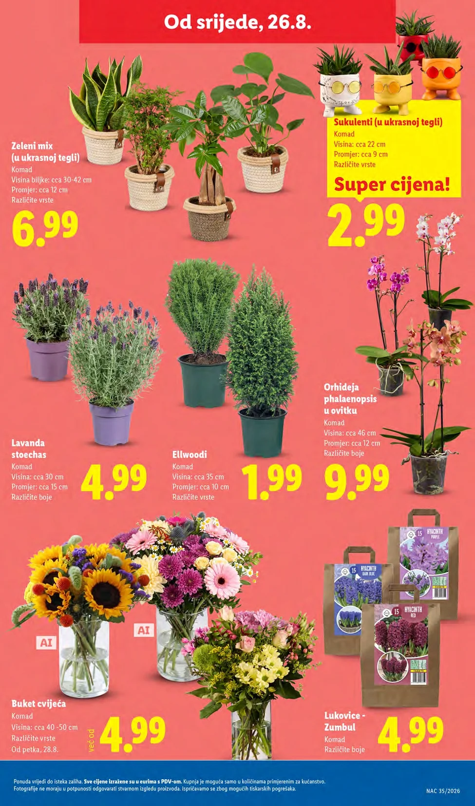 Lidl katalog HRVATSKA 24-30.8.2026. - str. 47