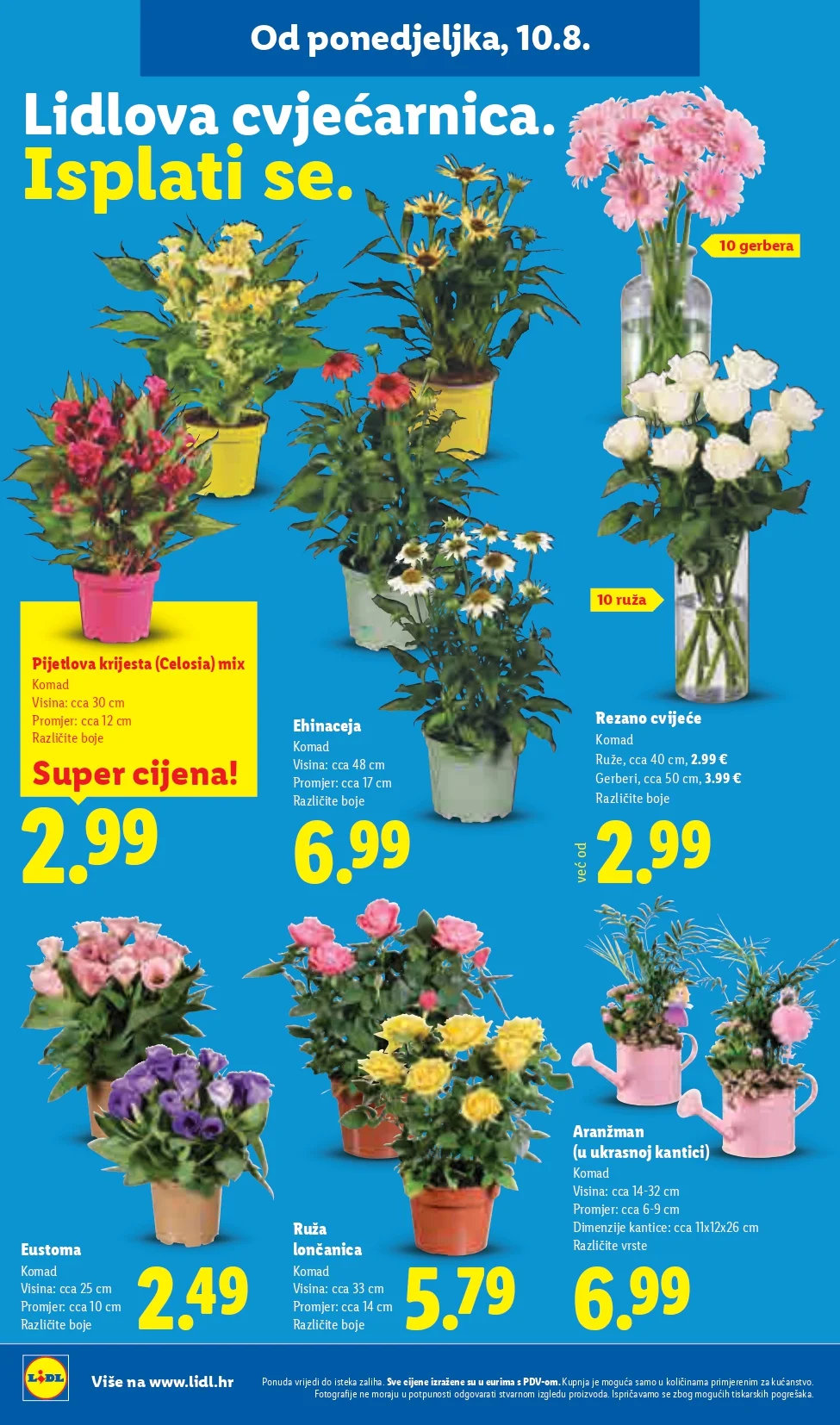 Lidl katalog HRVATSKA 10-16.8.2026. - str. 50