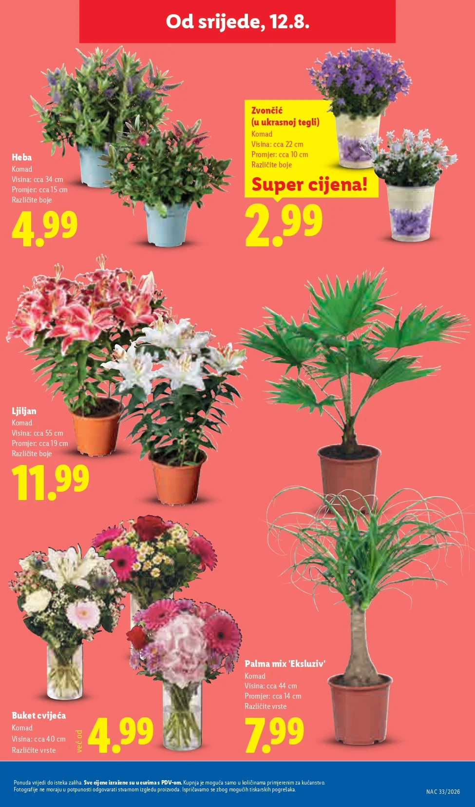 Lidl katalog HRVATSKA 10-16.8.2026. - str. 51