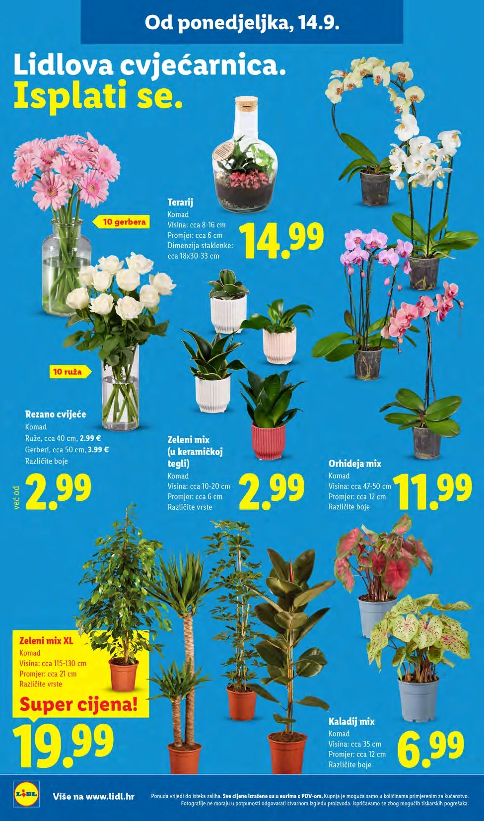 Lidl katalog HRVATSKA 14-20.9.2026. - str. 52