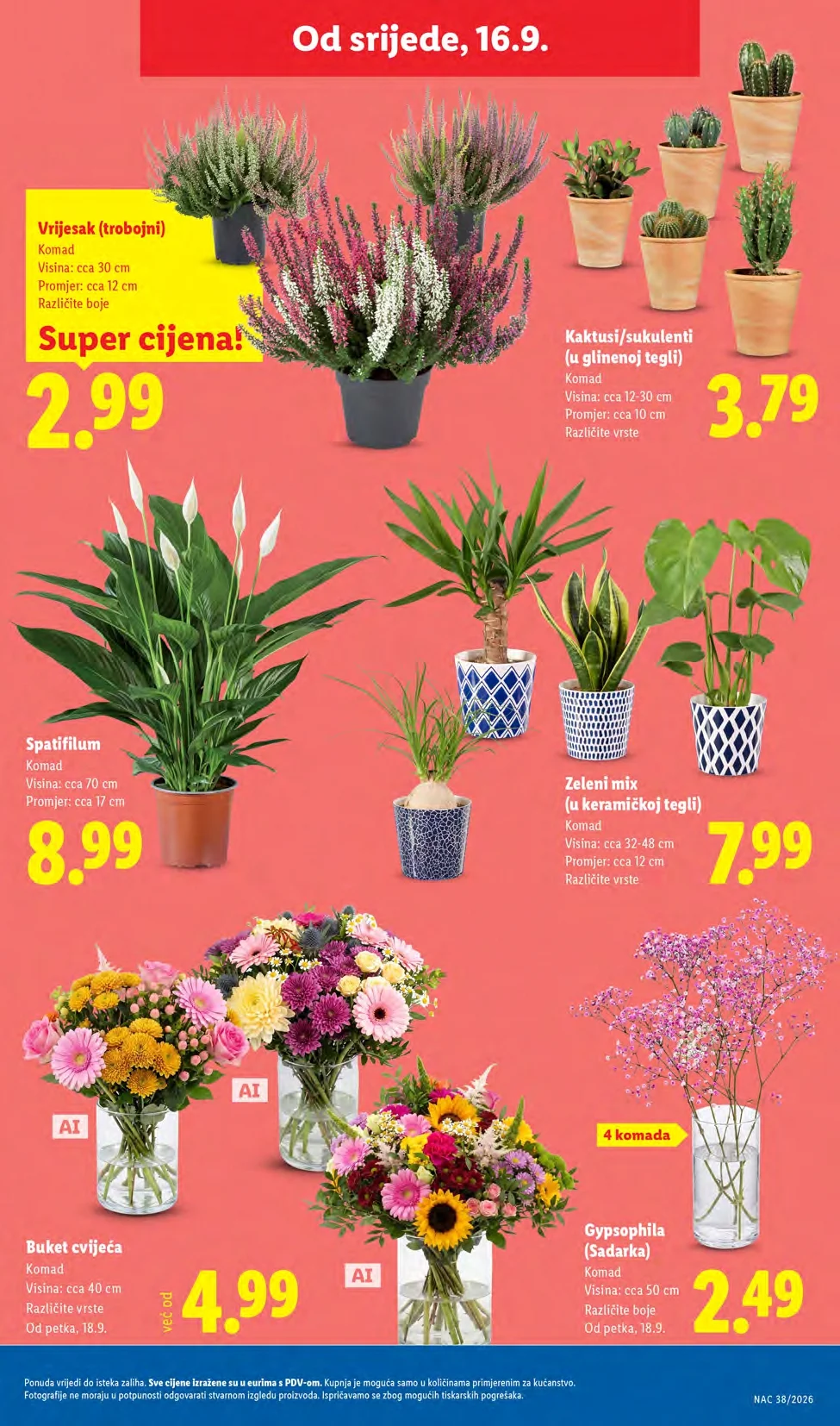 Lidl katalog HRVATSKA 14-20.9.2026. - str. 53