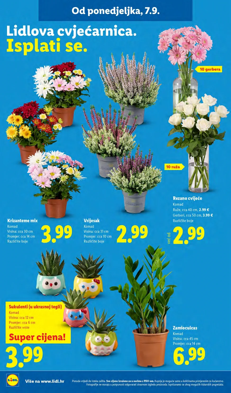 Lidl katalog HRVATSKA 7-13.9.2026. - str. 60