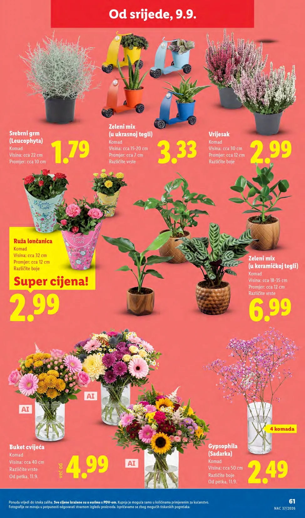 Lidl katalog HRVATSKA 7-13.9.2026. - str. 61