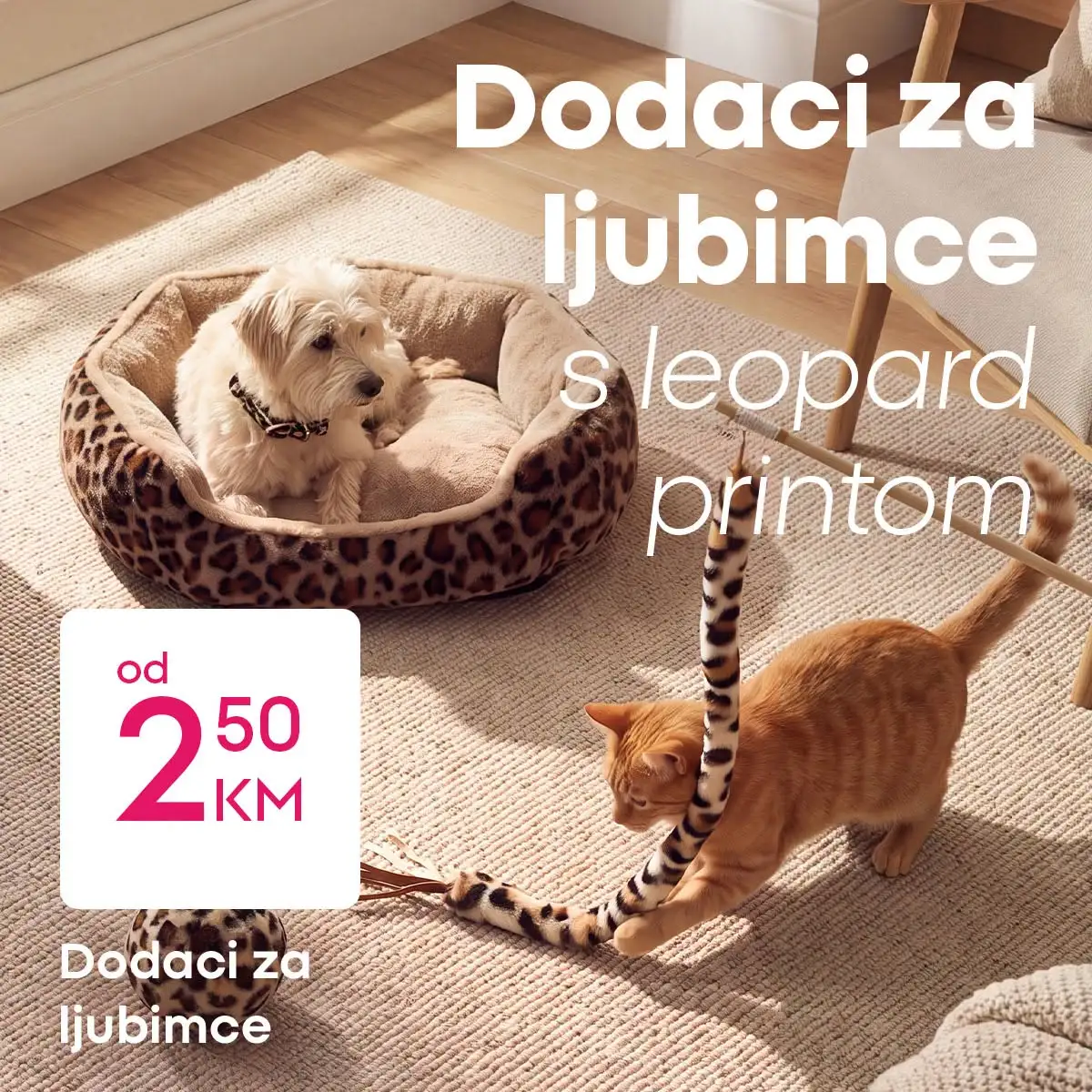 Pepco TOP PONUDE oktobar 2026. - str. 6